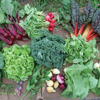 How To Grow A Victory Garden Gardening Hudson Valley