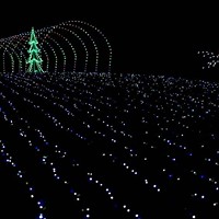 Get in the Christmas Spirit with these Hudson Valley Holiday Light Shows