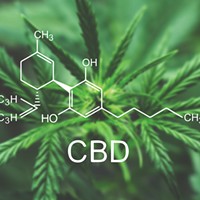 Clearing the Air: Demystifying CBD