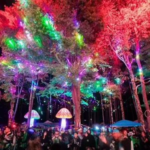 Evolutions electronic festival 2021