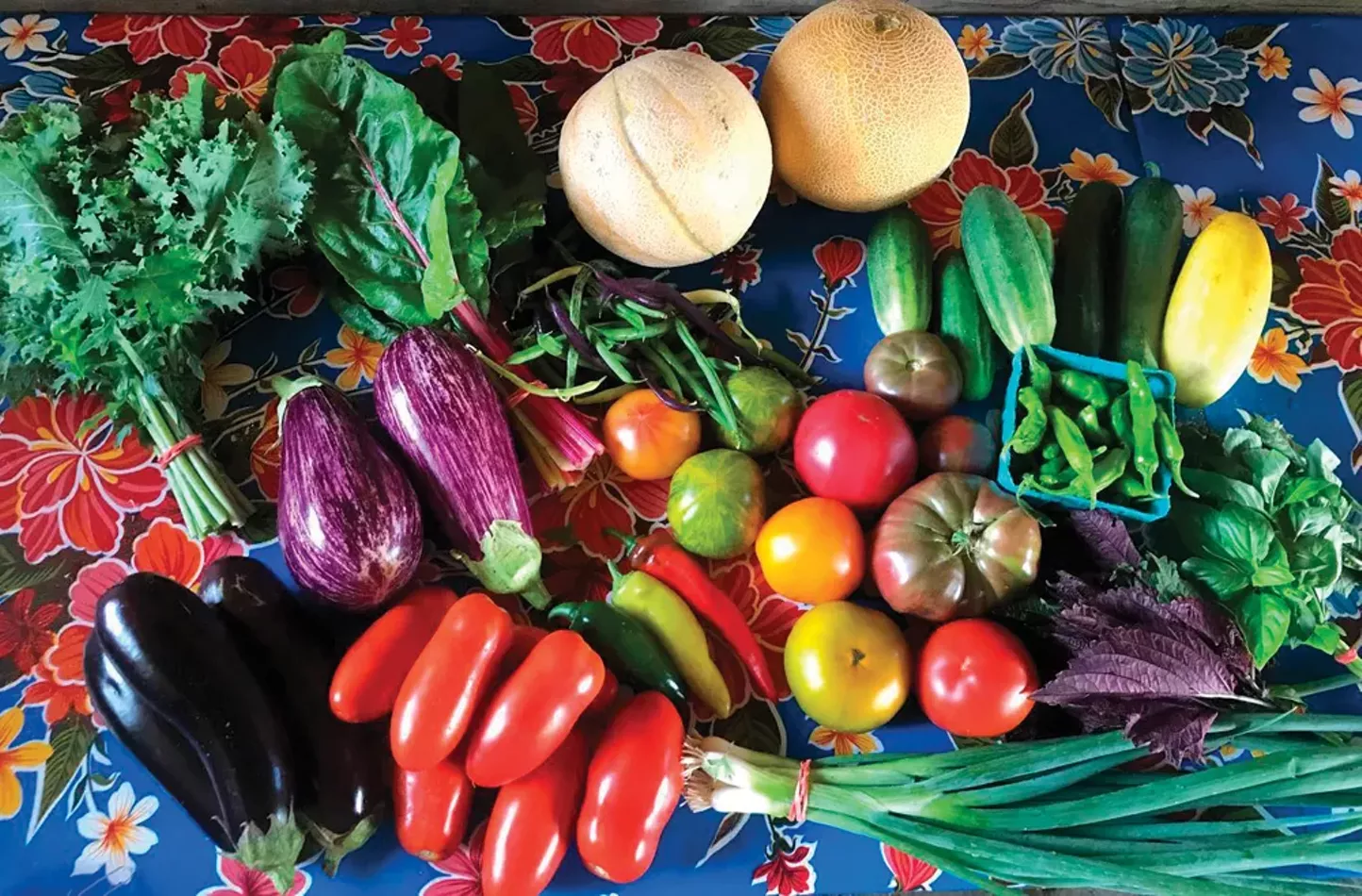2021 Hudson Valley CSA Farms - Vimarsana News