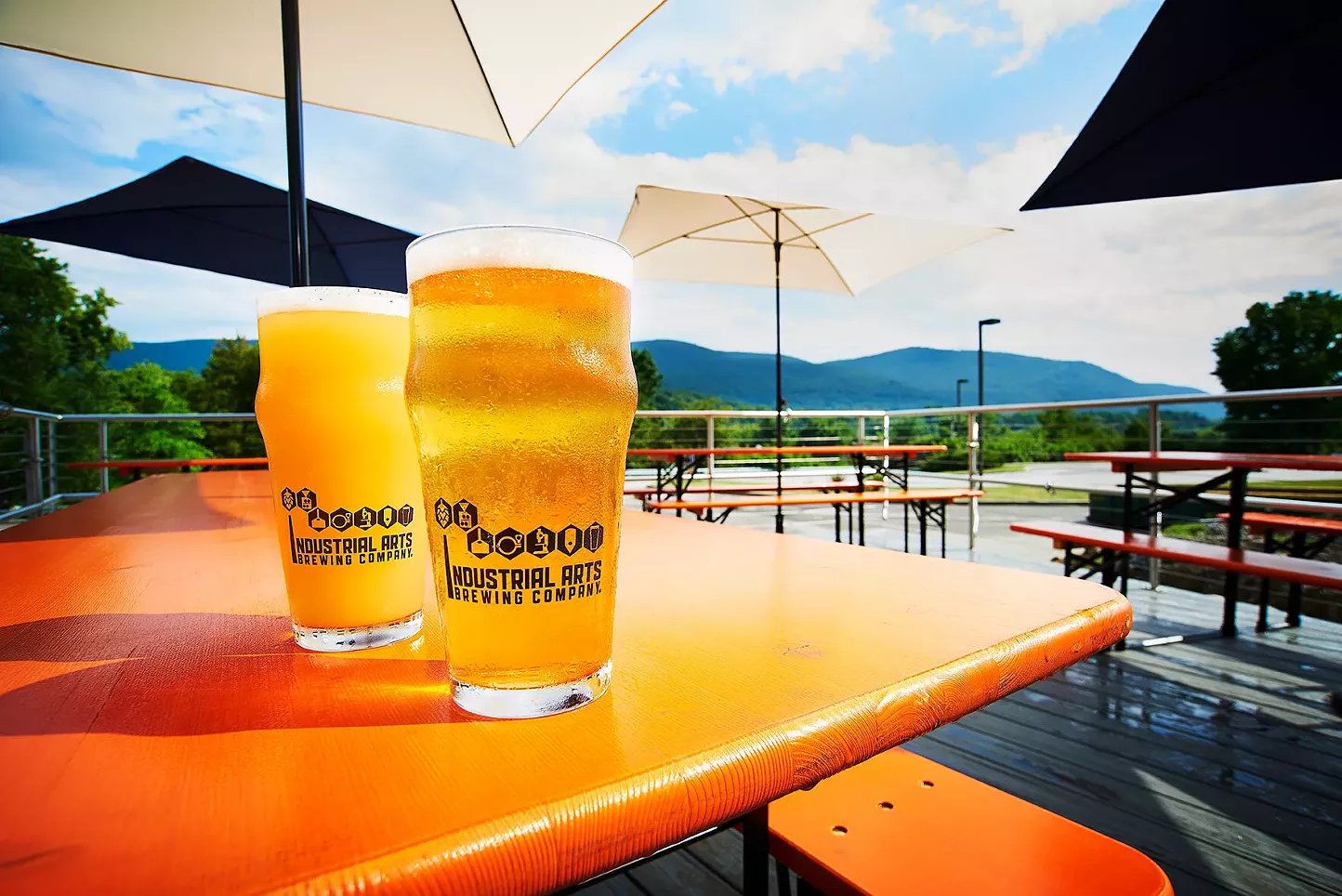 3 Beacon Breweries Offering Craft Beers and Scenic Views - Vimarsana News