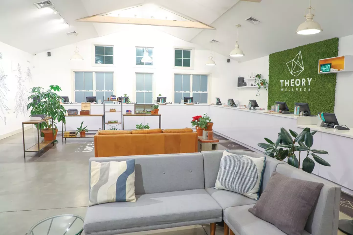 Theory Wellness: A Dispensary of Firsts - Vimarsana News