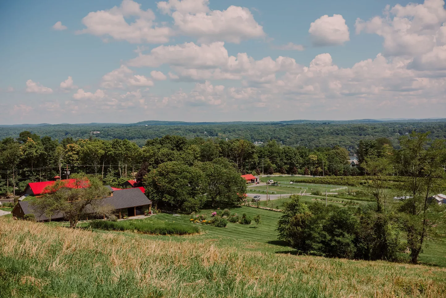 Great Life Brewing Purchased by Red Maple Vineyard - Vimarsana News