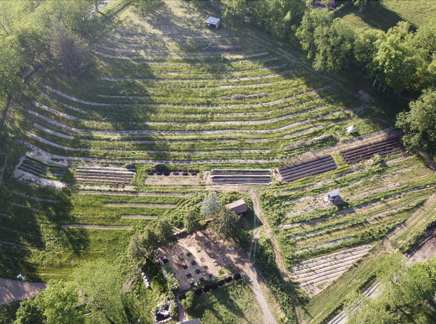 All One One All: Utilizing Regenerative Agriculture - Vimarsana News