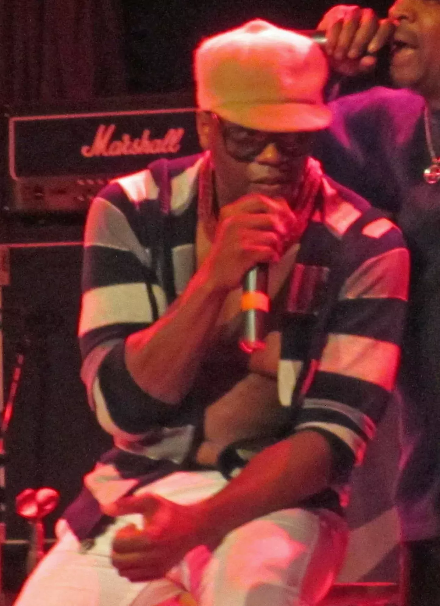 Schoolly D. and Bad Lieutenant in Woodstock - Vimarsana News