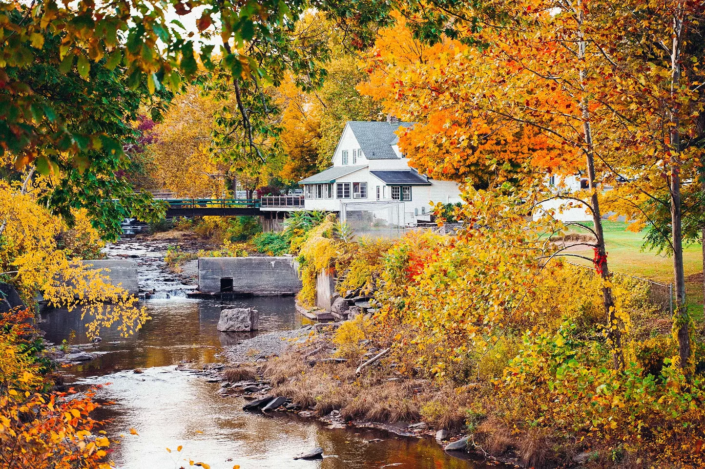 Award-Winning Chef Dan Silverman Takes Over the Millstream Tavern Kitchen - Vimarsana News