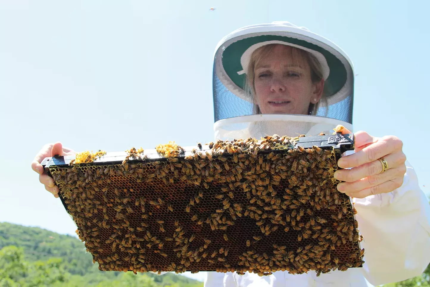 Hudson Valley Bee Supply Hudson Valley Slideshows Chronogram Magazine