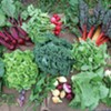 Find Your Local, Hudson Valley CSA