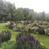 The Spiral Labyrinth in the seven-acre West Meadow at Mountain Top Arboretum is planted with grasses and perennials that are deer-resistant and pollinator-friendly. The Spiral Labyrinth in the seven-acre West Meadow at Mountain Top Arboretum is planted with grasses and perennials that are deer-resistant and pollinator-friendly.