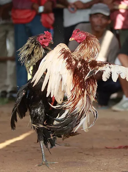 © THOMAS MUKOYA / REUTERS