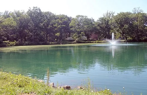lake_view_-_yelp_user_Jessica_H..jpg