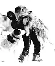 An Endurance crewman enjoys some husky love.