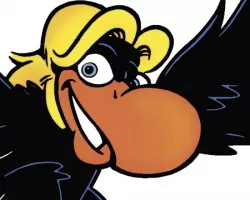 1569_musicbuzzard.jpg