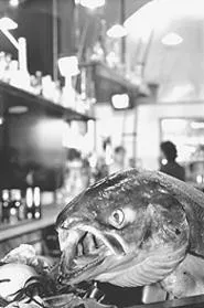 Big Fish, where even the salmon are chatty. - WALTER NOVAK