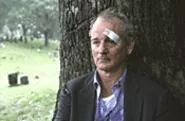 Bill Murray in Broken Flowers: Less Stripes than a solid shade of gray.
