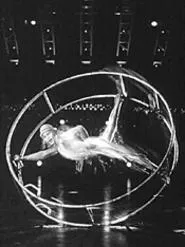 Boom Boom struts his stuff, all hamster-like, on the - German wheel.