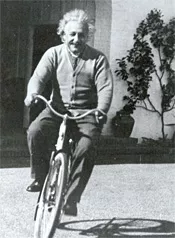 2223541.t.jpg