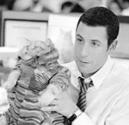 Dave and friend, between hissy fits.