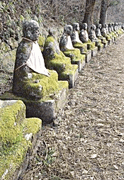 1392379.t.gif