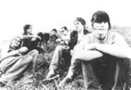 Elastica