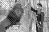Ellen Whitehouse feels like Tippi Hedren took her - child. - WALTER NOVAK