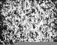 "F Troop, 2001," by Bruce Checefsky, photogram.