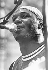 Heating up the Liquid Mix: Robert Randolph at Tower - City Amphitheater, Wednesday, September 10. - WALTER NOVAK