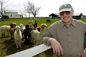 Jerry Forstner's farmhands found alpacas bleeding from the eyes and shrieking in pain. - WALTER NOVAK