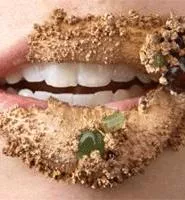 Lauren Kalman's "Lip Adornment," part of - Misdemeanor at Spaces.