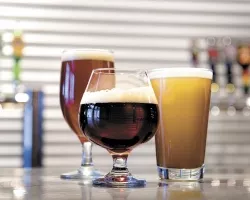 1582_diningtremonttap112608.jpg