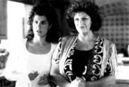 My Big Fat Greek Wedding, the year's biggest surprise film, will be next year's TV series. Yeah, big surprise. - SOPHIE GIRAUD