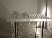 2110891.t.jpg