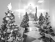 O Christmas trees! O Christmas trees! You dazzle us - with your mega-wattage splendor! (Tuesday)