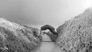 People interact with the Dutch countryside in the photos of - Ellen Kooi, at MOCA through August 28.