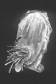 "Princess Niggle," a found-object sculpture by Brenda - Stumpf.