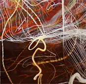 2086426.t.jpg