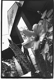 Saucy Bistro, a welcome bloom on the chain restaurant landscape. - WALTER NOVAK