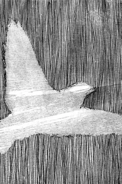 1589_artscapecraun002.jpg