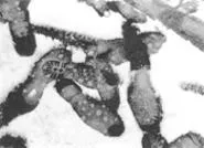 "Snow," by Yasuhiro Ishimoto, gelatin silver print.