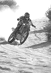 The Baja 1000: For the outlaw masochists of motorsports -- and those who love them.