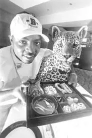The cat's meow: Zachary Conover has Leopard off to a flying start. - WALTER NOVAK