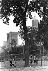 The city wants to make Whiskey Island volleyball - games a thing of the past. - WALTER NOVAK