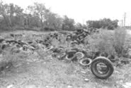 Tire dumpers prey on nonresidential areas. - WALTER NOVAK
