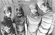 Today's "Tom Sawyer": The Locust is redefining - progressive rock through bursts of oppressive noise.
