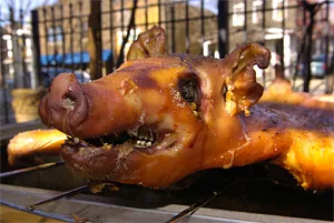 Turns out that pulled-pork sandwich you like used to be kinda cute. - WALTER NOVAK