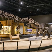 Free Sundays at Cleveland Museum of Natural History Begin This Week