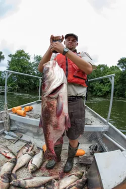 A biologist weighs a bighead carp. - PHOTO BY RYAN HAGERTY/U.S. FISH AND WILDLIFE SERVICE