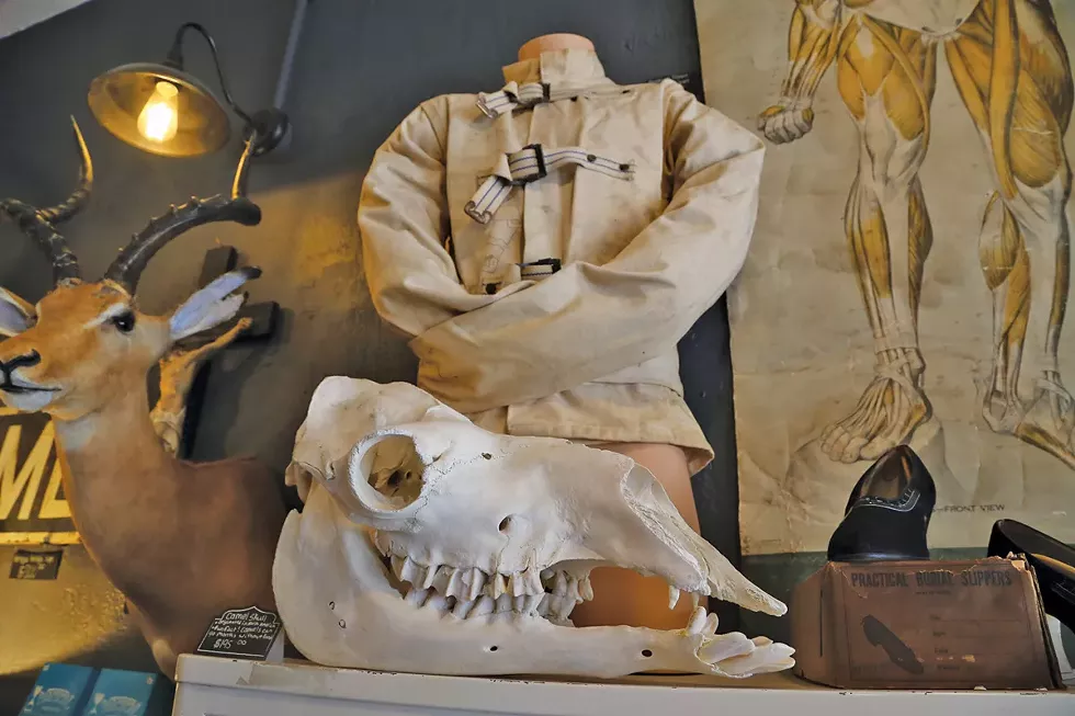 A vintage straight jacket is among the wonders at Cleveland Curiosities.