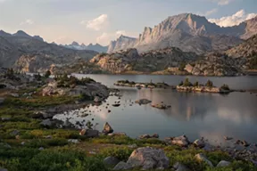 image1.jpg